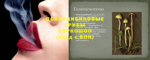 герыч Арсеньев