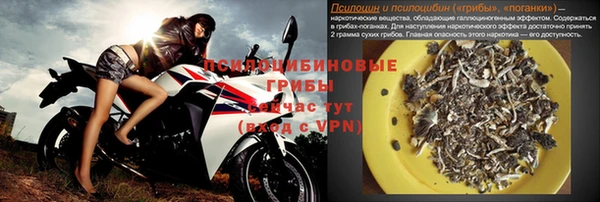 спиды Армянск