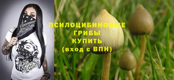 герыч Арсеньев