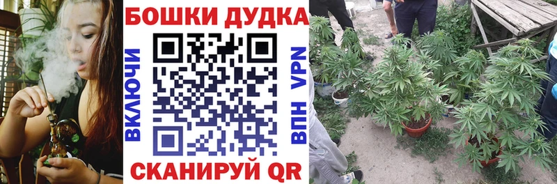 Конопля Ganja  как найти наркотики  mega зеркало  Городовиковск 